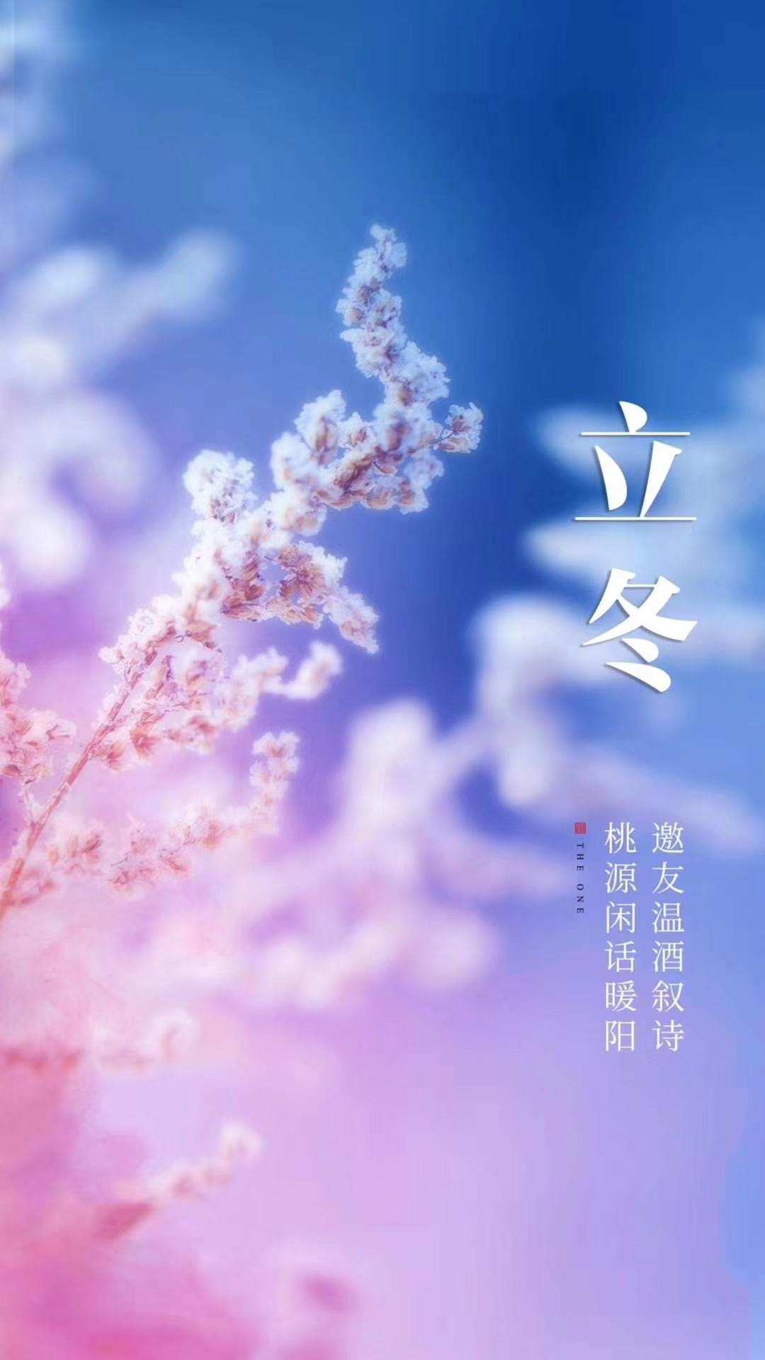 立冬的最新視頻,立冬的最新視頻，帶你領(lǐng)略冬日之美?????